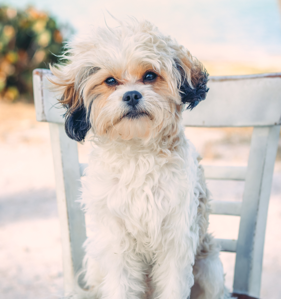 H&M Impact Window and Door – About