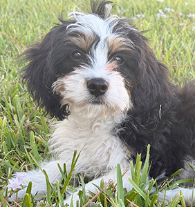 H&M Impact Window and Door – About