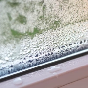 – The 20-Year Window Milestone