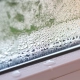 20-Year Window Milestone – The 20-Year Window Milestone